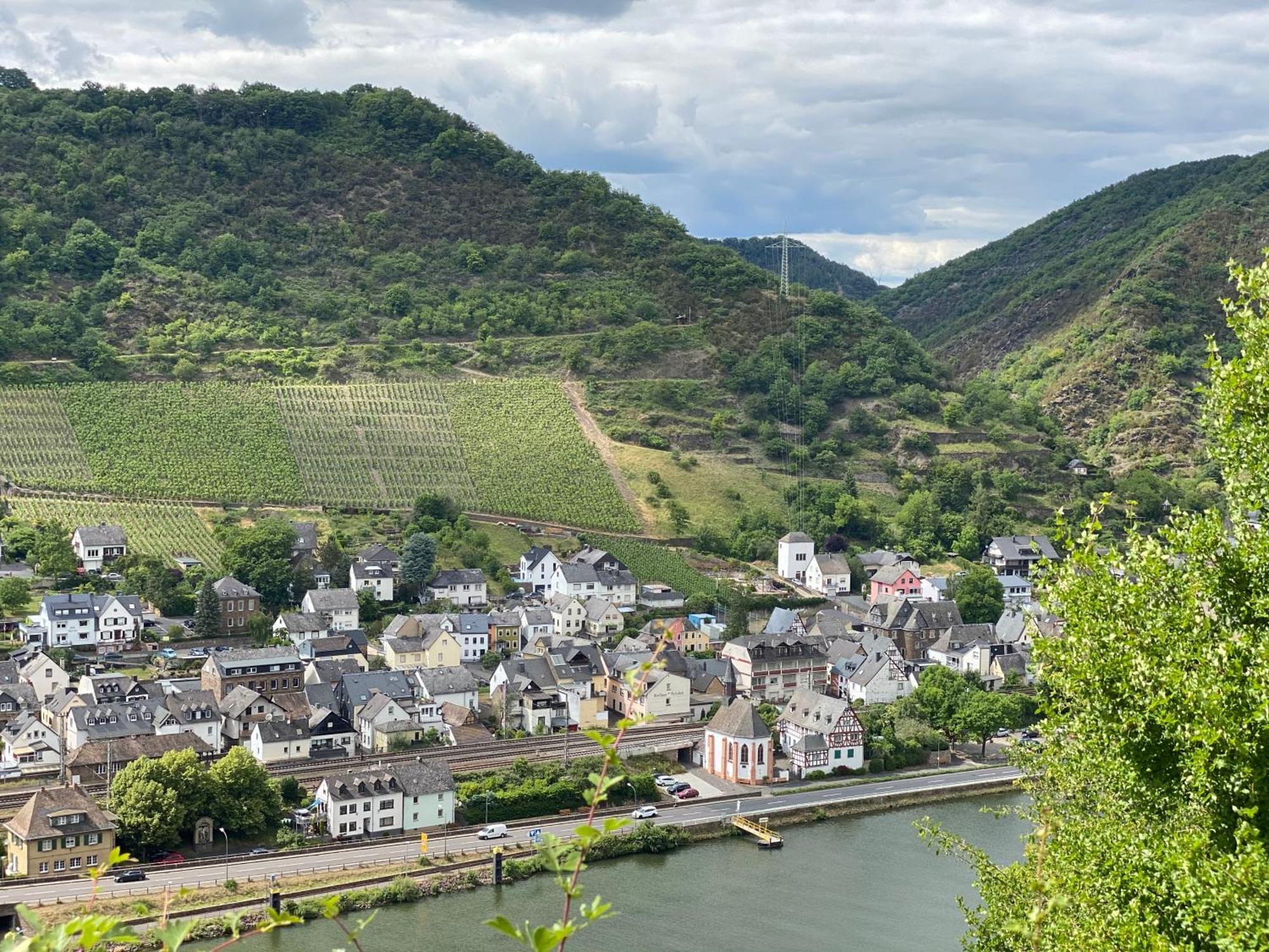 Mike'S Mosel Lodge Treis-Karden Exteriér fotografie